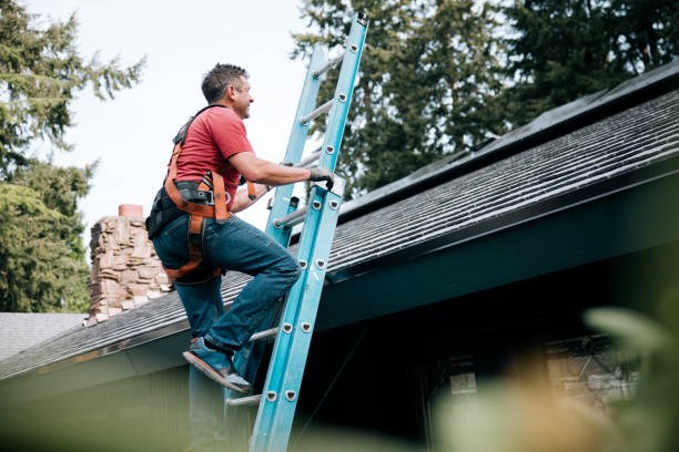 Best Steel Roofing  in Piney Mountain, VA